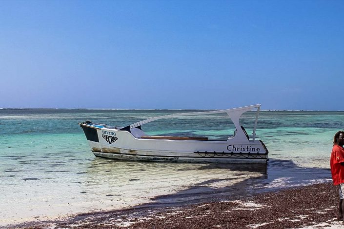machen sie einen Ausflug Glasbodenboot - Villa-Kuishi - Diani Beach - Kenia - Ihr exklusives Ferienhaus unter der Sonne Ostafrikas